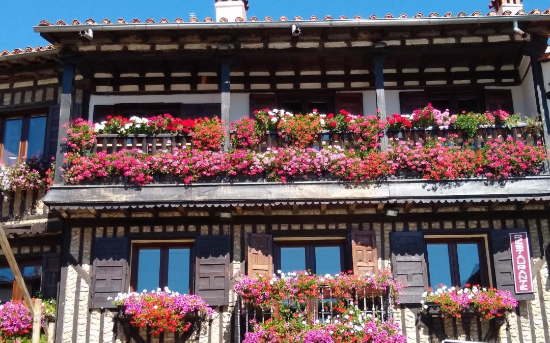 Volunteer in Spain