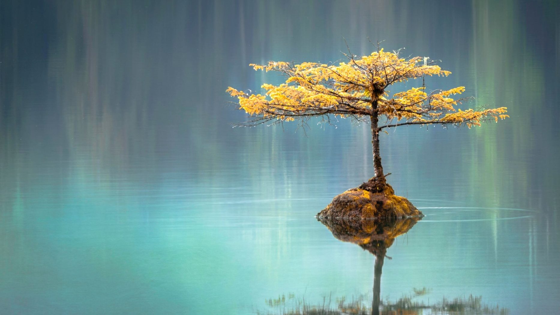 How to Be Smart About Big Decisions