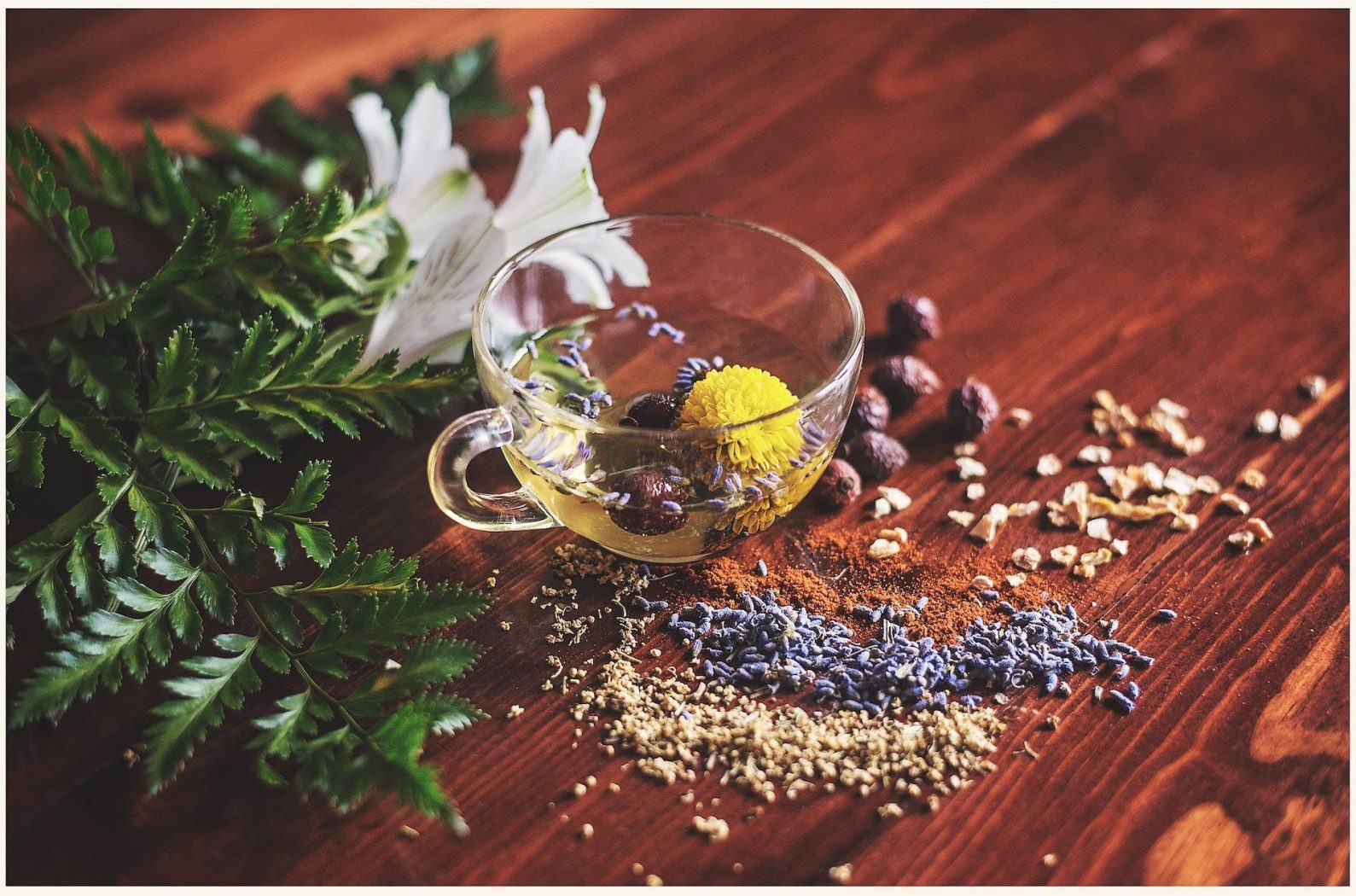 Inside Ayurveda
